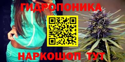 не бодяженный Шебекино