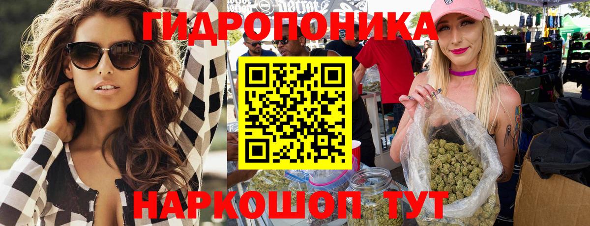 Бошки марихуана Amnesia  Канабис OG Kush  Шишки марихуана Bruce Banner  Каннабис план  Вход с VPN  Белая Калитва 